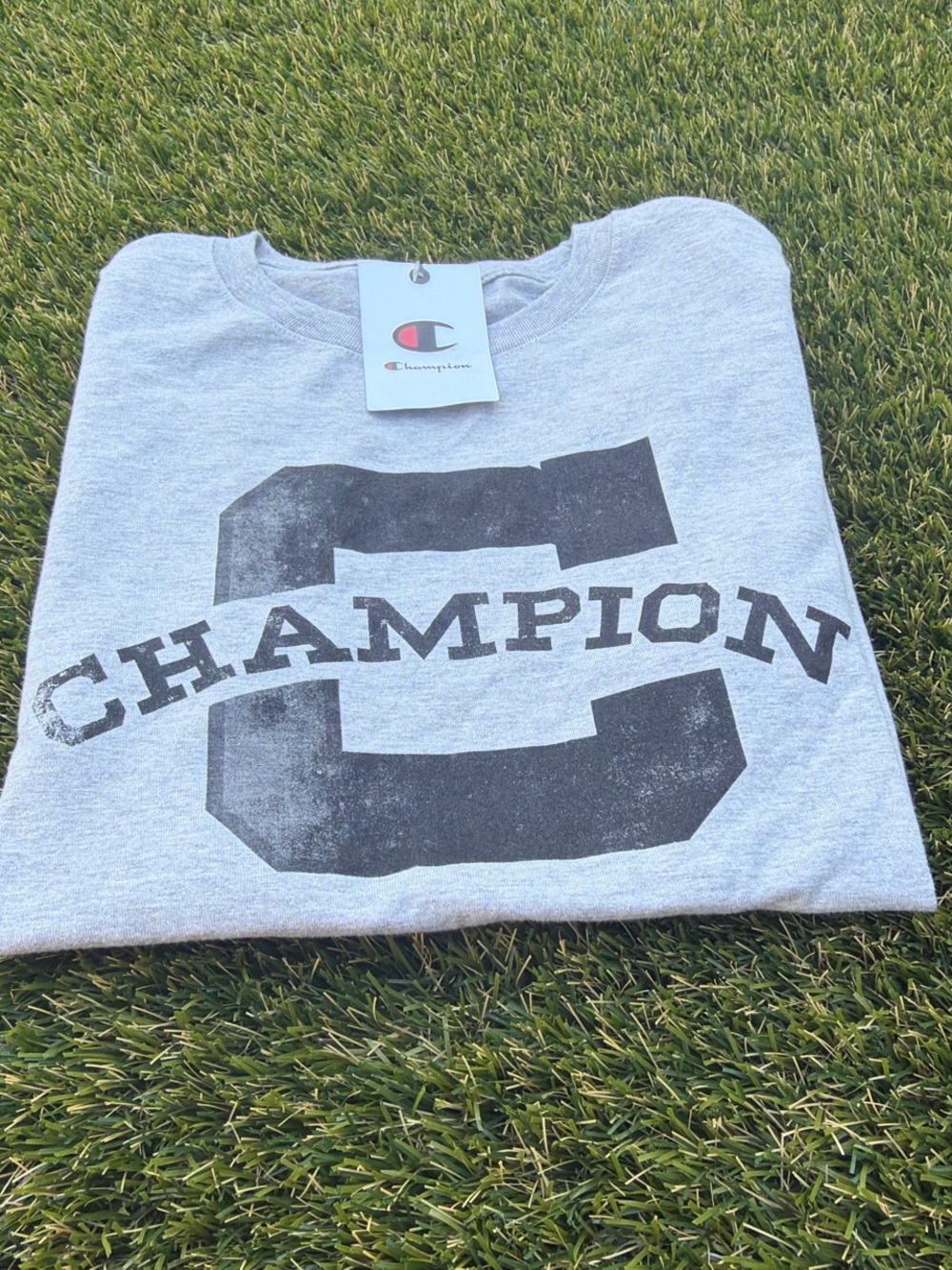 Champion Gray Graphic Tee Size Medium NWT Crazy Distressed Logo T Shirt